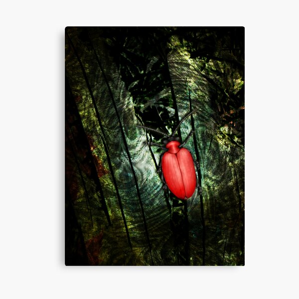 Into the Maelstrom Canvas Print