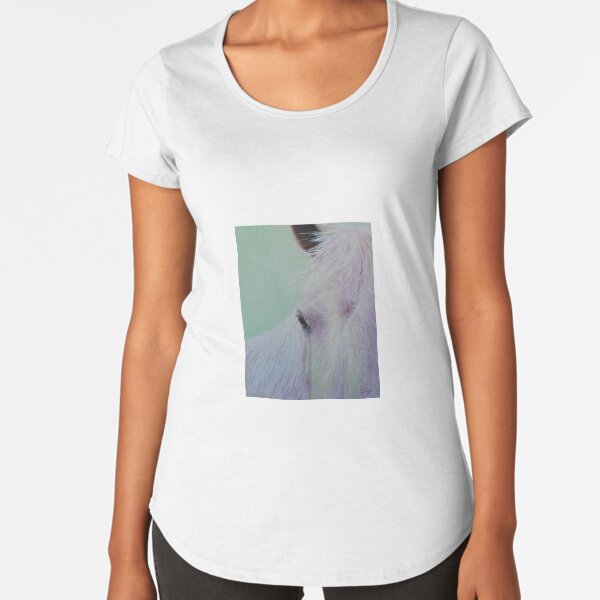 Premium Scoop T-Shirt