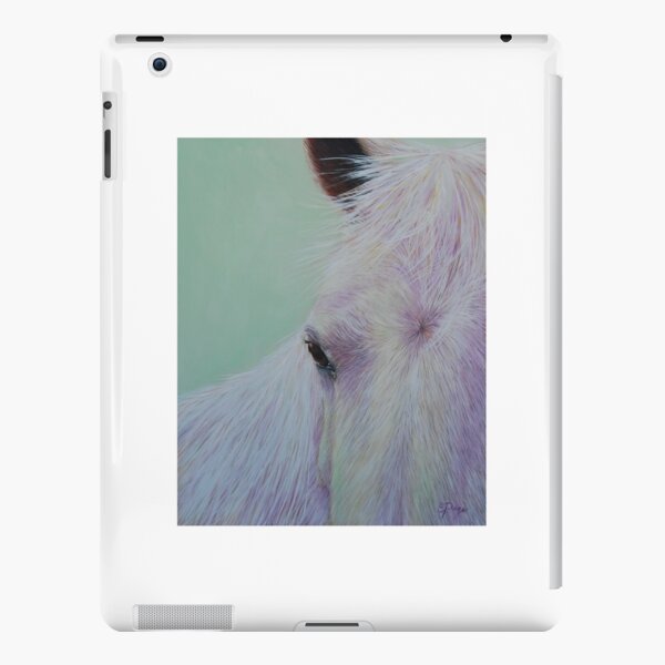 iPad Retina/3/2 - Snap