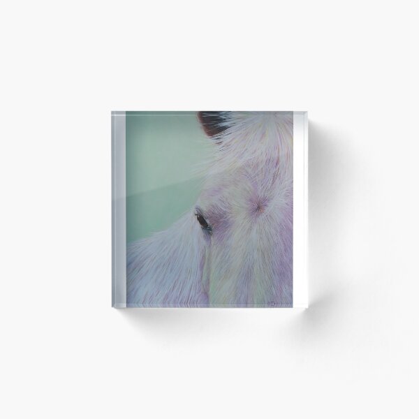 Acrylic Block