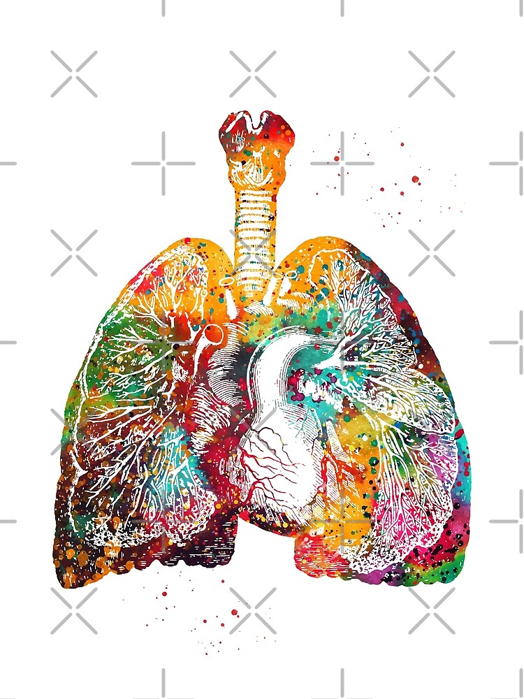 Lung's. Красивые легкие человека. Здоровые легкие с цветами.