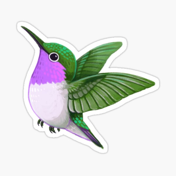 Item preview, Pride Birds: Woodstar Hummingbird designed and sold by Wren Melville's Art.