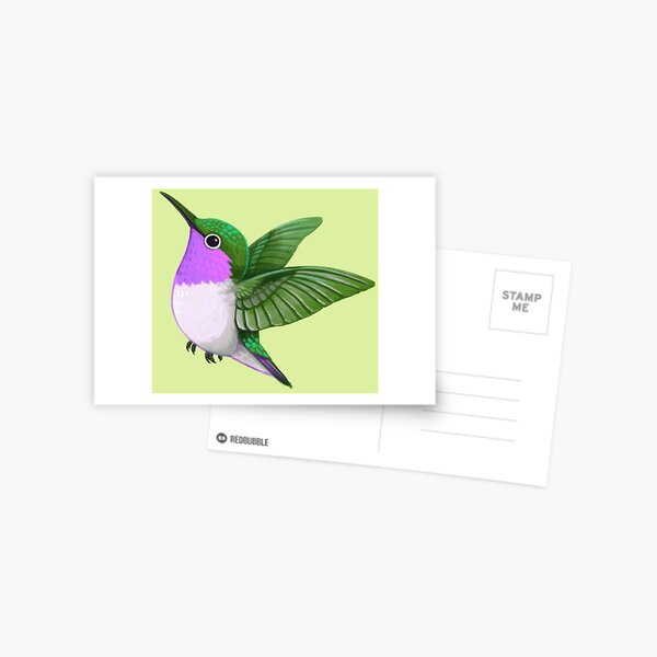 Pride Birds: Woodstar Hummingbird Postcard