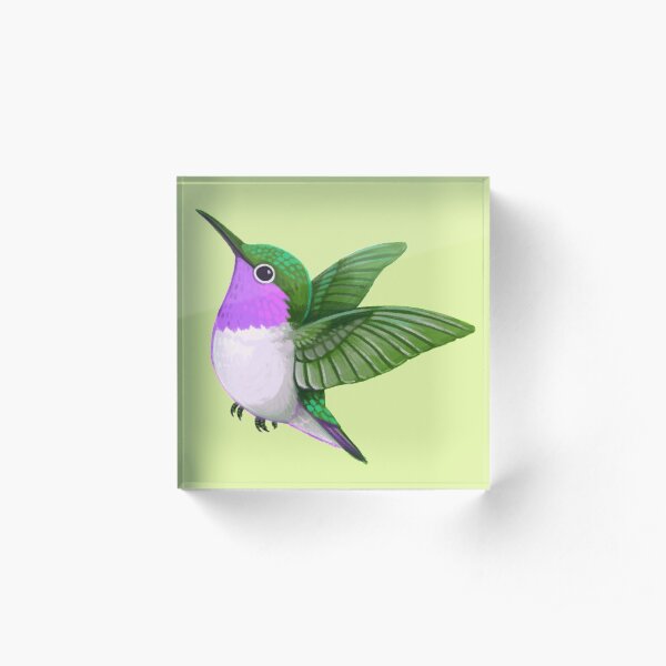 Pride Birds: Woodstar Hummingbird Acrylic Block