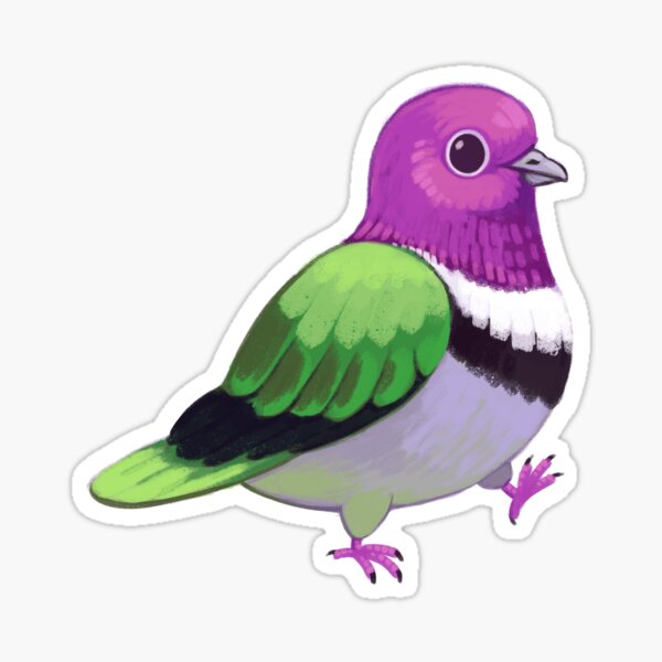 Artikel-Vorschau von  Die rosafarbene Fruchttaube frisst hauptsächlich Früchte. Sie sind schüchterne Vögel und über ihr Leben in freier Wildbahn ist nicht viel bekannt., designt und verkauft von Wren Melville's Art.