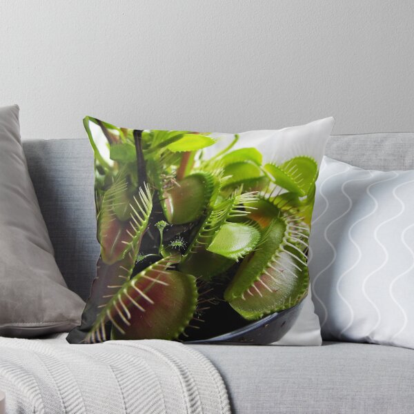 Item preview, Venus Flytrap #2 designed and sold by VariousArtbyTom.