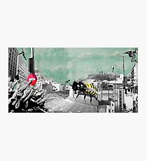 Mudhoney Photographic Print