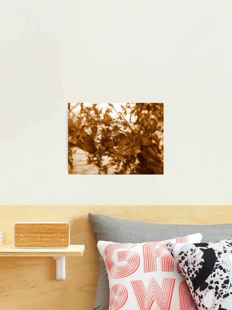 Thumbnail 2 of 3, Photographic Print, ROMANTIC designed and sold by TatianaMichaela.