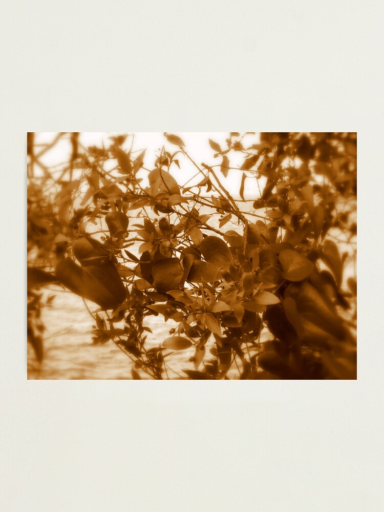 Thumbnail 1 of 3, Photographic Print, ROMANTIC designed and sold by TatianaMichaela.