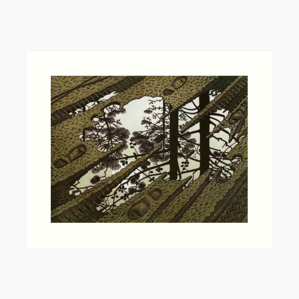 Puddle 1952 paradox - Maurits Cornelis Escher Art Print