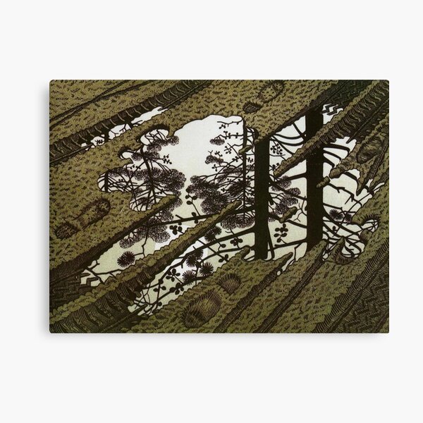 Puddle 1952 paradox - Maurits Cornelis Escher Canvas Print