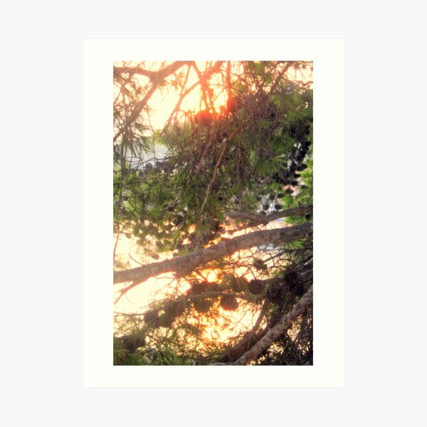 LET IT BE LIGHT Art Print
