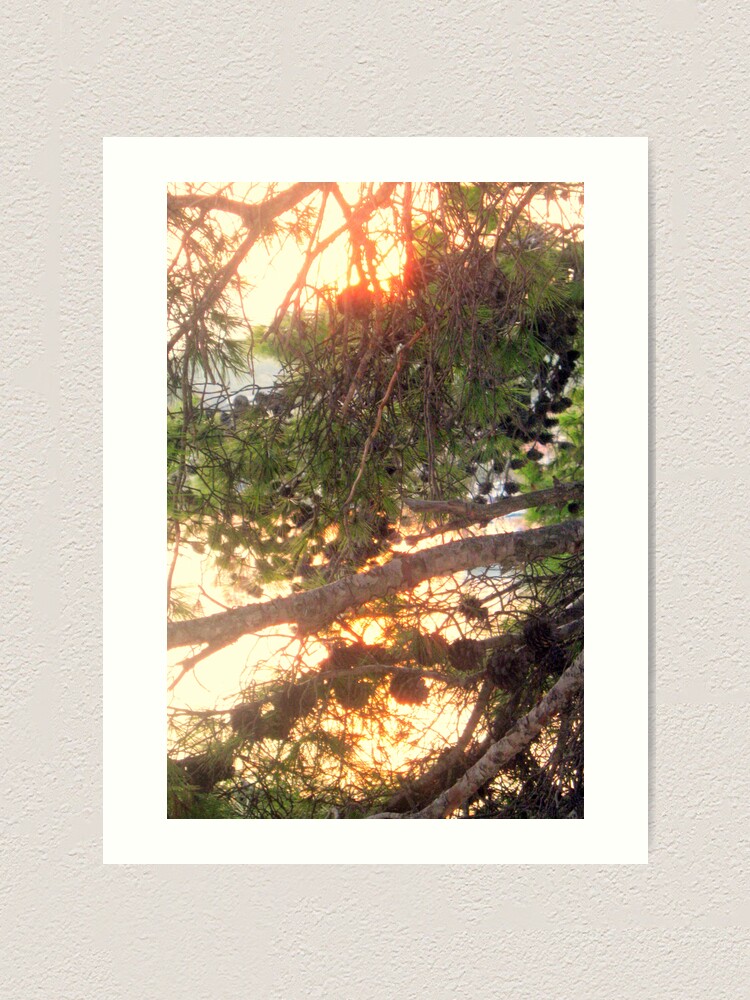 Thumbnail 1 of 3, Art Print, LET IT BE LIGHT designed and sold by TatianaMichaela.