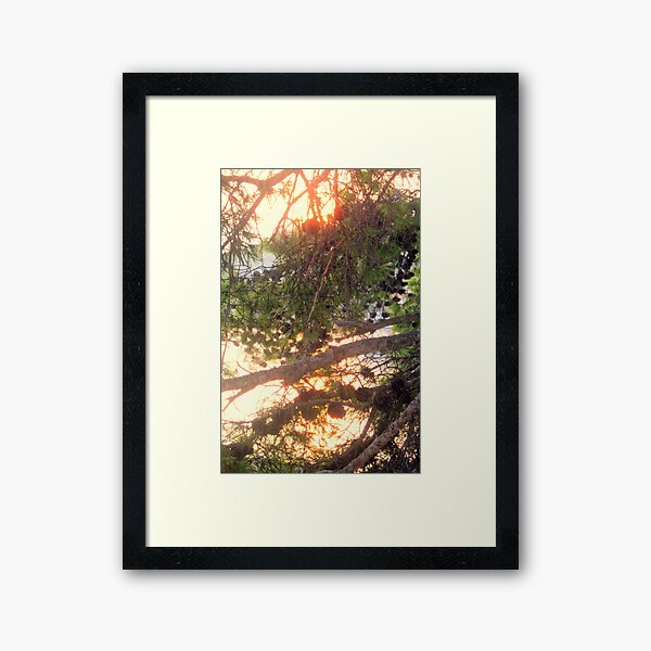 LET IT BE LIGHT Framed Art Print
