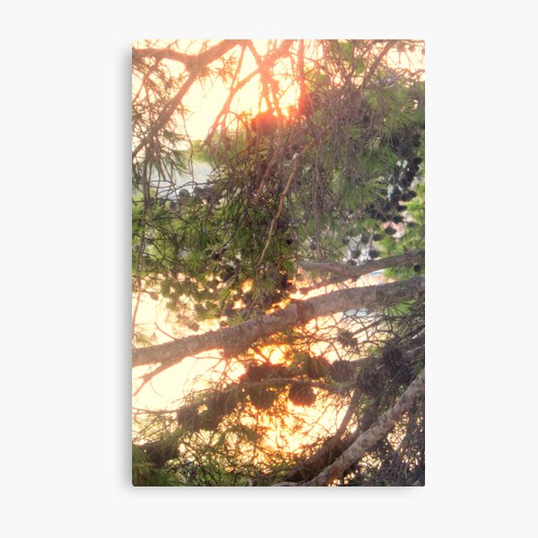 LET IT BE LIGHT Metal Print