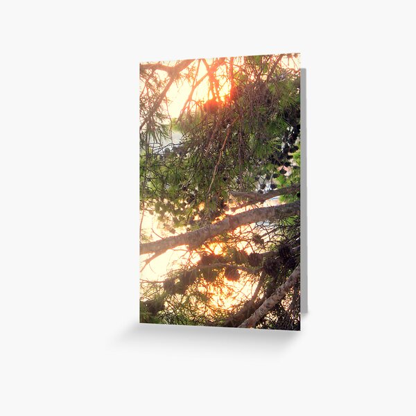 LET IT BE LIGHT Greeting Card