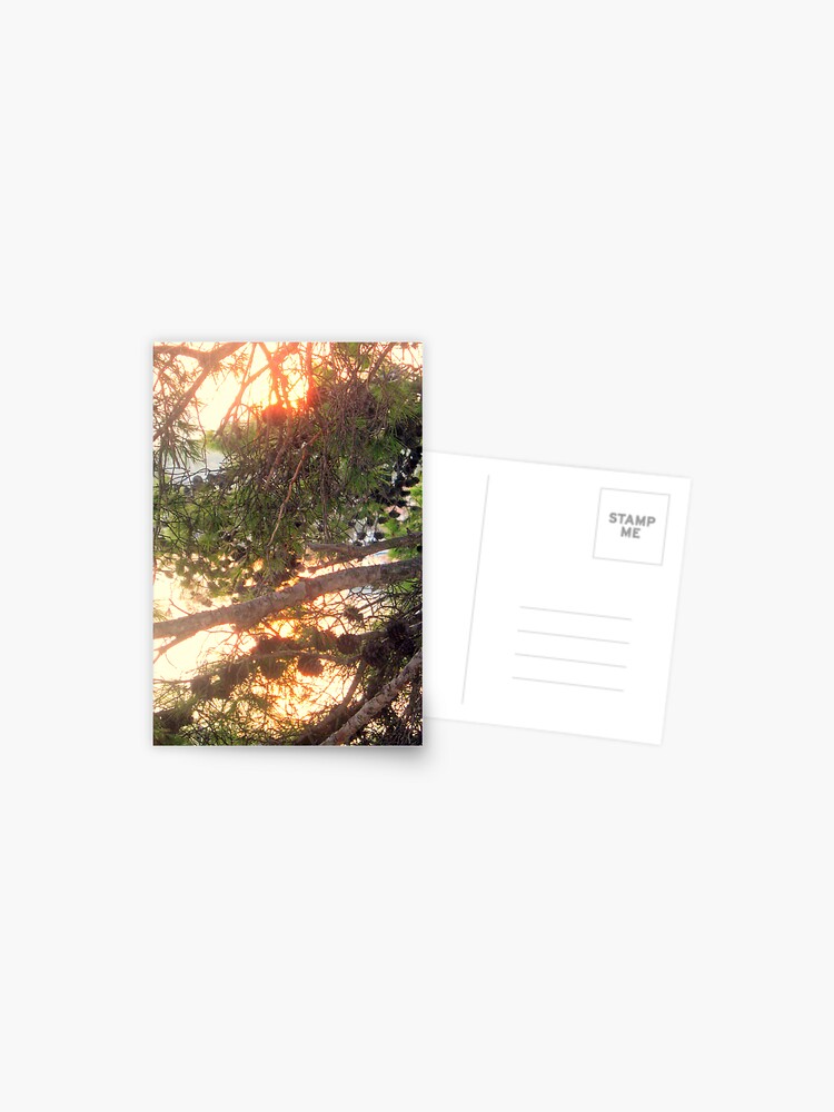 Thumbnail 1 of 2, Postcard, LET IT BE LIGHT designed and sold by TatianaMichaela.