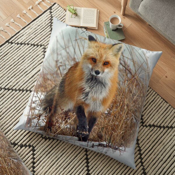 Red Fox Floor Pillow