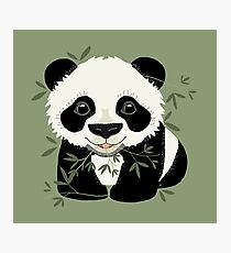 Panda Fotodruck