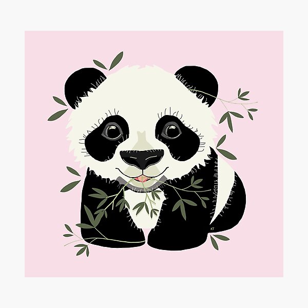 Panda Photographic Print