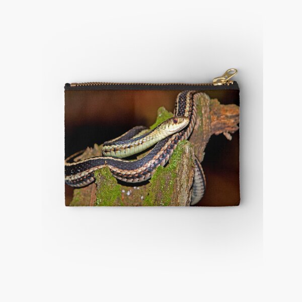 Item preview, 09 Woodland Treasures of the Ottawa Valley (Series) designed and sold by DigitallyStill.