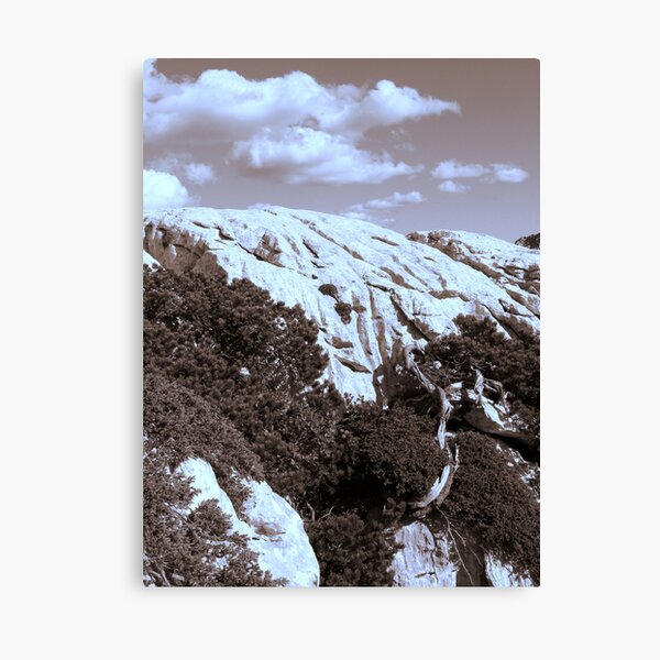 MOUNTAINS in Sepia tone Canvas Print