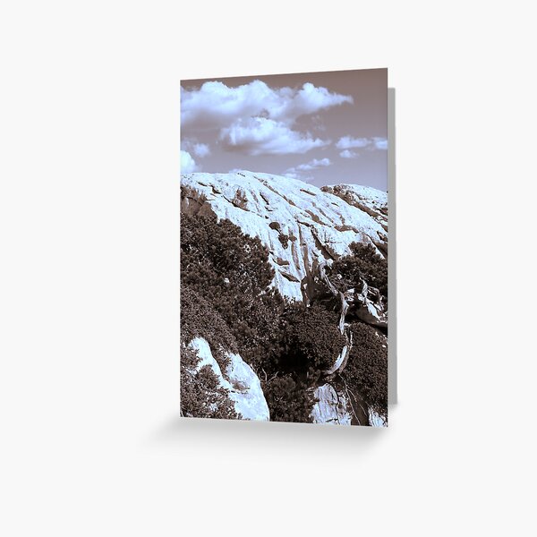 MOUNTAINS in Sepia tone Greeting Card