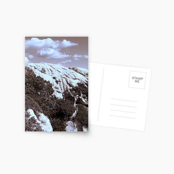 MOUNTAINS in Sepia tone Postcard