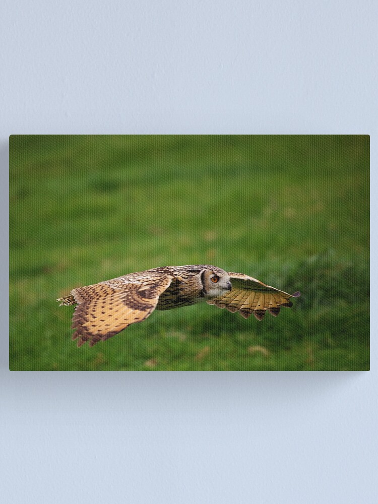 Alternate view of Rock Eagle Owl Canvas Print