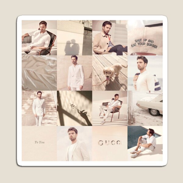Item preview, Sebastian Stan moodboard designed and sold by tomdaya.