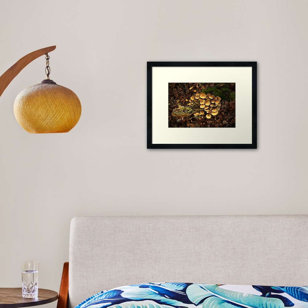 Item preview, Framed Art Print designed and sold by steppeland.