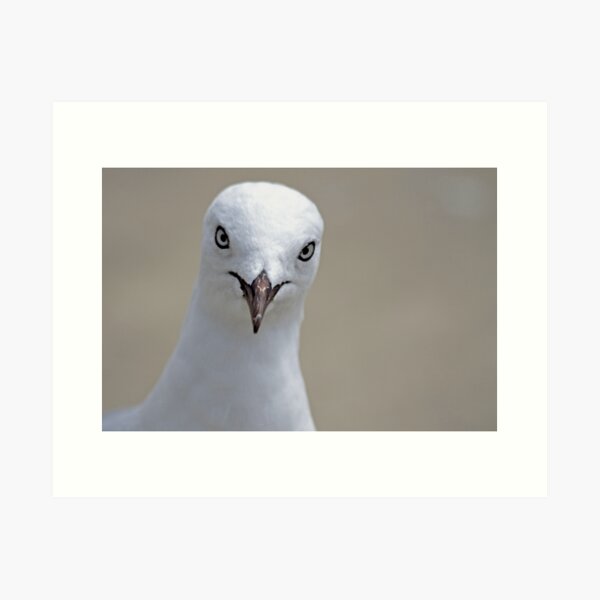 Eye on You Art Print