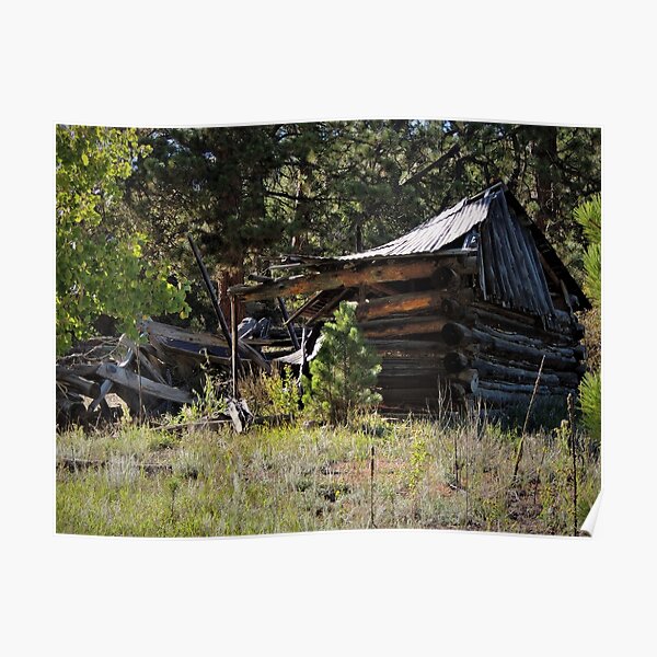 Abandoned Poster