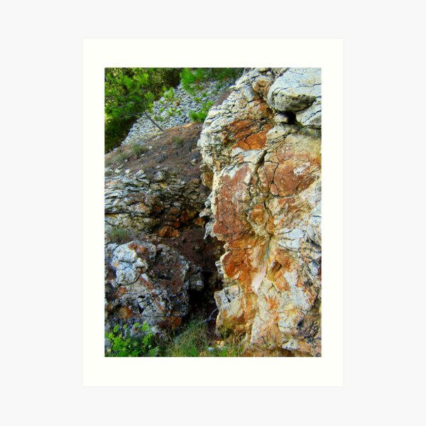 Art Print