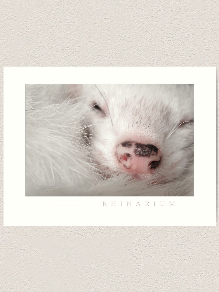 Alternate view of Rhinarium Art Print