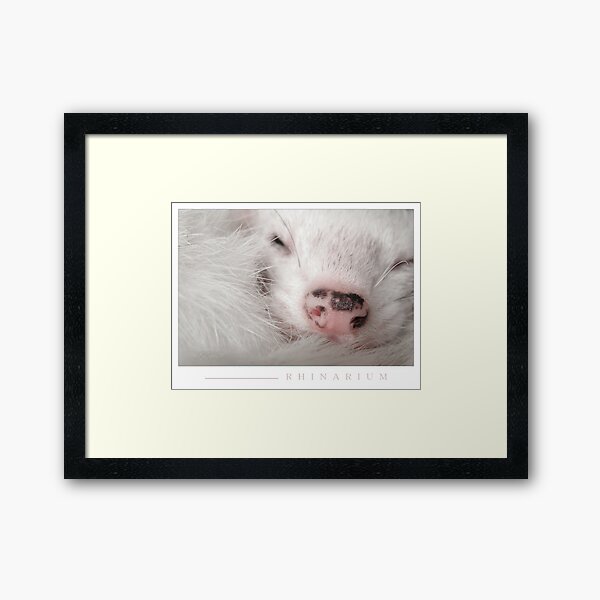 Rhinarium Framed Art Print