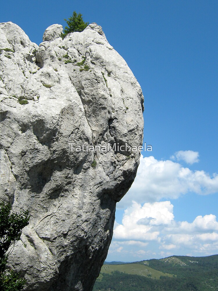 Thumbnail 3 of 3, Photographic Print, STONE ANGEL PROTECTING THE VALLEY designed and sold by TatianaMichaela.