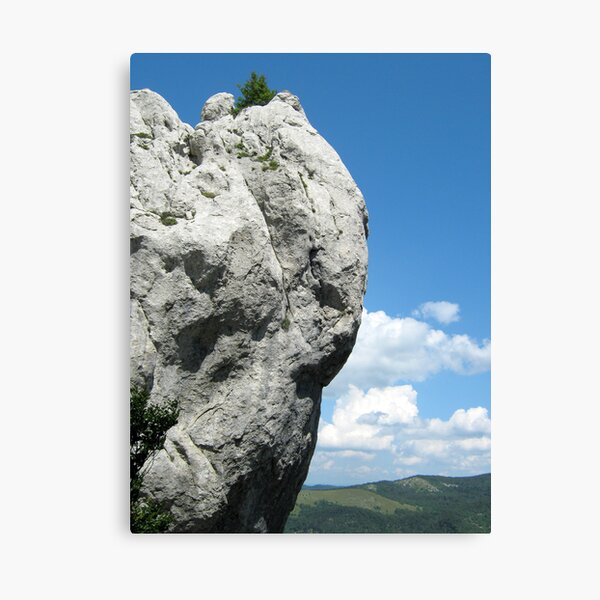 Canvas Print