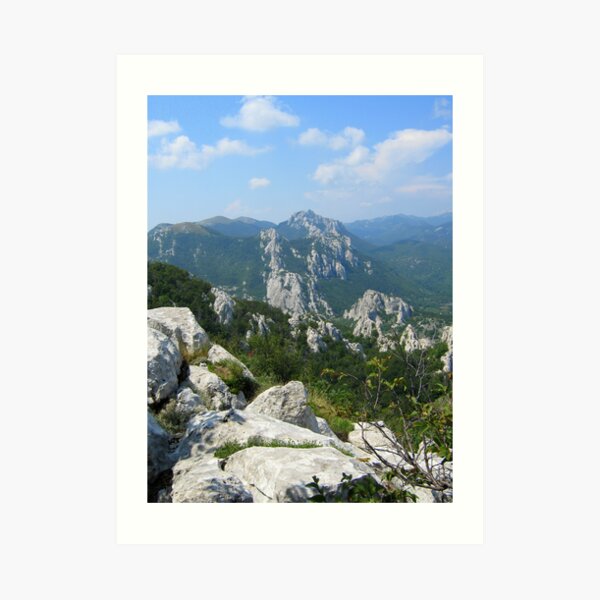 Art Print