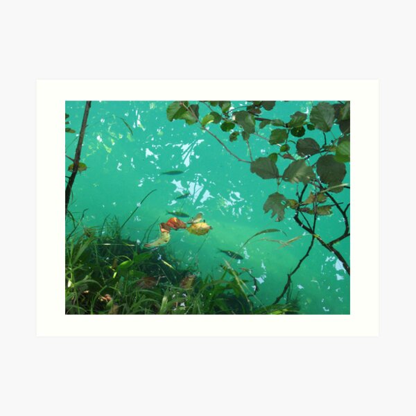 Art Print
