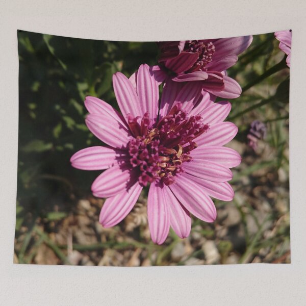 Item preview, Macro shot of a pink flower in the Alcantara gorge in Sicily designed and sold by PM-Artistic.