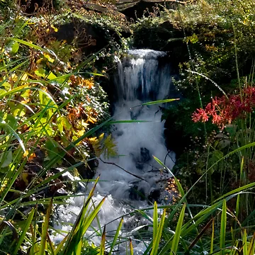 Artwork thumbnail, Autumn Waterfall by Chris Clark