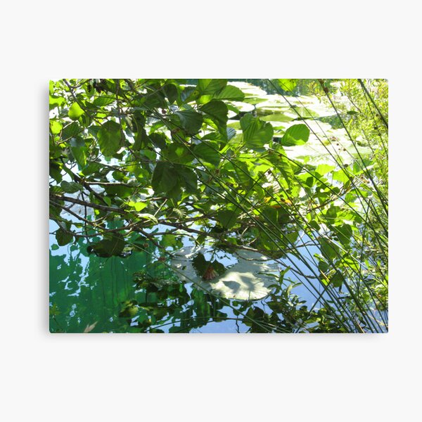 JOY OF LIFE Canvas Print
