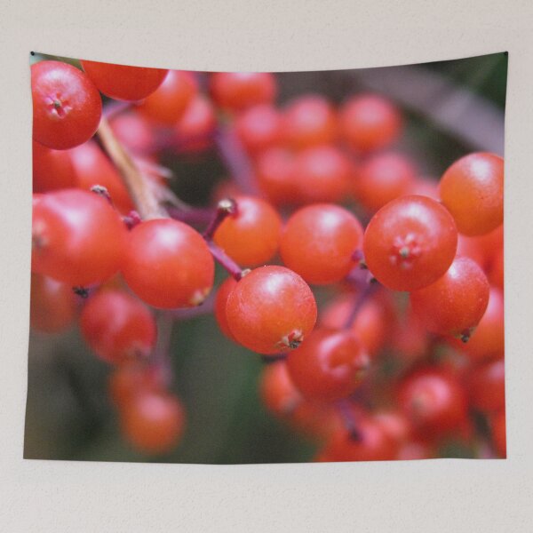 Item preview, Photo macro shot of rowanberry designed and sold by PM-Artistic.