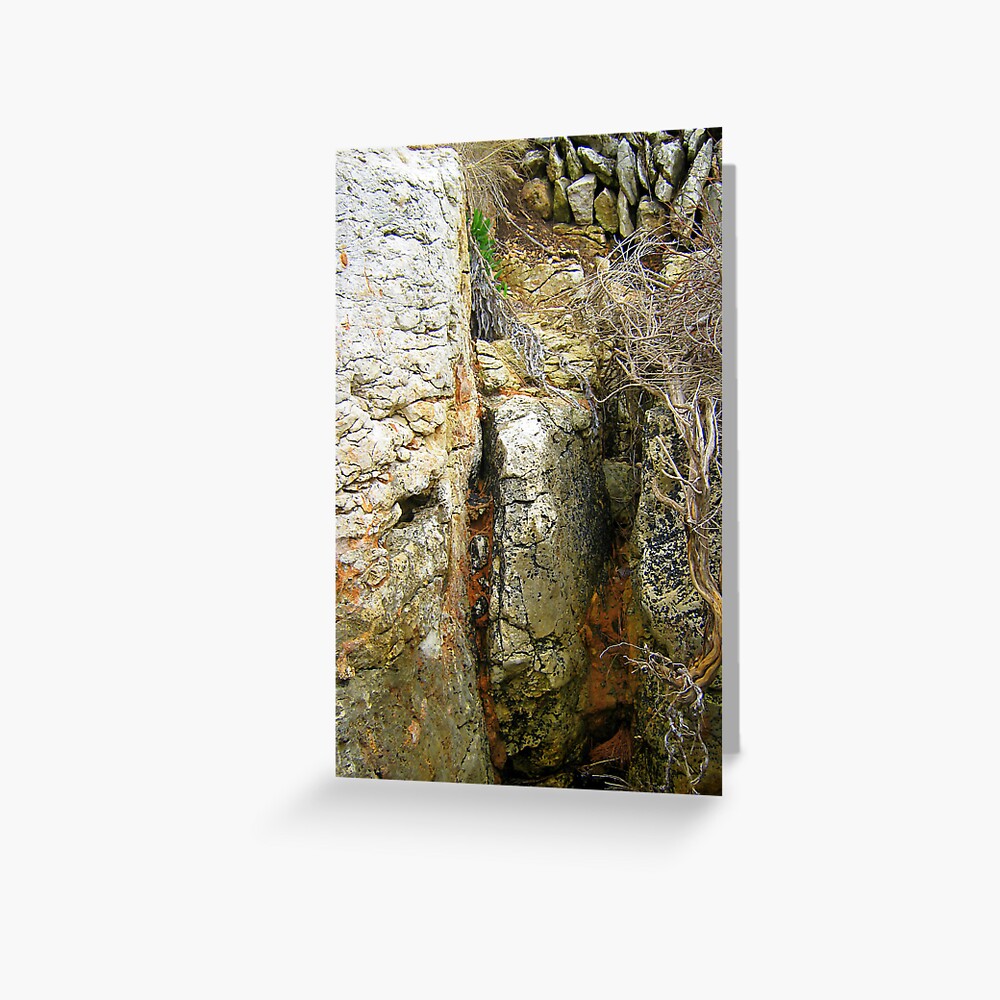 Item preview, Greeting Card designed and sold by TatianaMichaela.