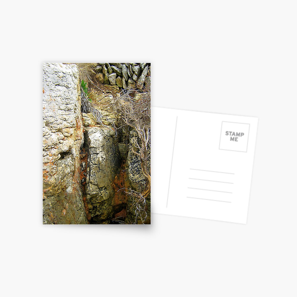 Item preview, Postcard designed and sold by TatianaMichaela.