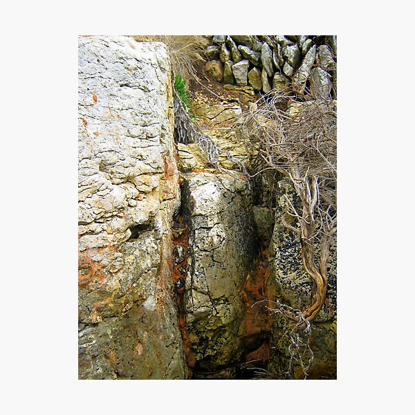Photographic Print