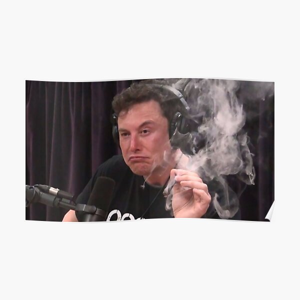 Elon Musk Blunt Meme Poster