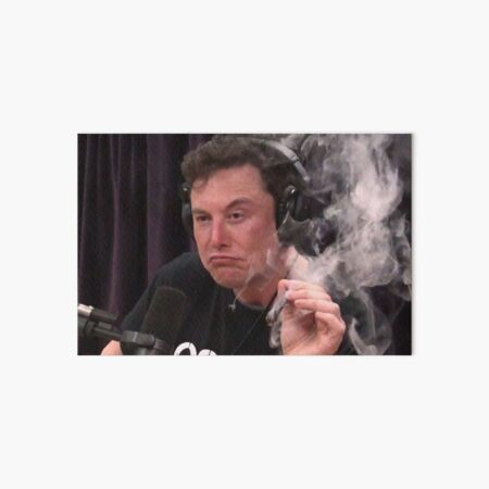 Elon Musk Blunt Meme Art Board Print