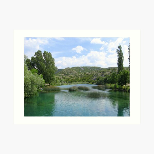Art Print